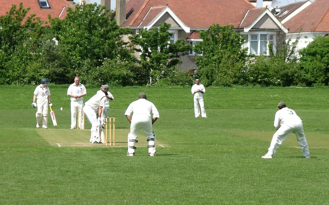 Cricket team